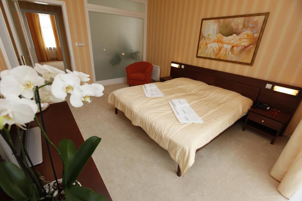 Hotel Sandor Pavillon Piest'any Bilik gambar
